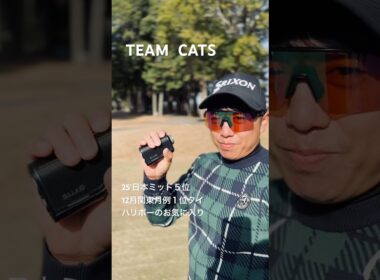 SILLAID VM2（EENOUR）