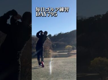 毎日ゴルフ練習795日目#ゴルフ #ゴルフスイング #golf #shorts