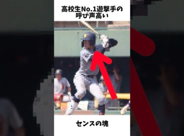 7球団が視察に訪れる高校No.1遊撃手#プロ野球#高校野球#八王子高校#埼玉西武ライオンズ#新井唯斗