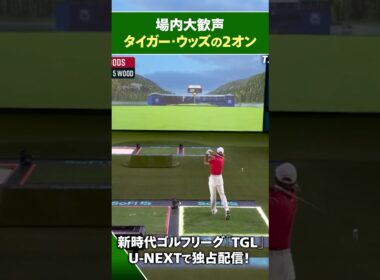 【TGL】タイガー・ウッズの2オンに場内大歓声！【ゴルフ】