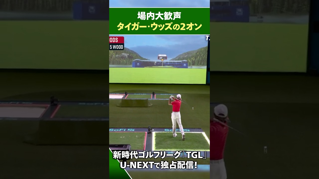 【TGL】タイガー・ウッズの2オンに場内大歓声！【ゴルフ】