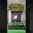 【スライス改善】出玉が右に出るあなたへ。今日で終わらせよう。 #ゴルフ #ゴルフスイング #golf #golfswing #ゴルフ練習動画