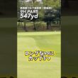 3つありゃゴルフ簡単‼️ #gengen #ゴルフ #golf #パリティー