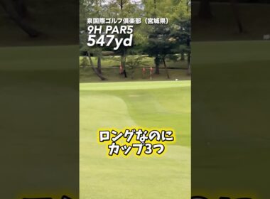 3つありゃゴルフ簡単‼️ #gengen #ゴルフ #golf #パリティー