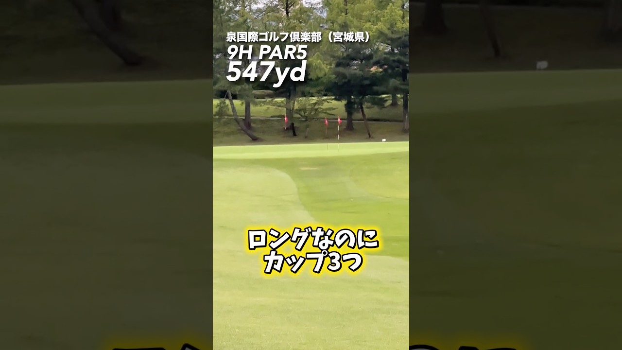 3つありゃゴルフ簡単‼️ #gengen #ゴルフ #golf #パリティー