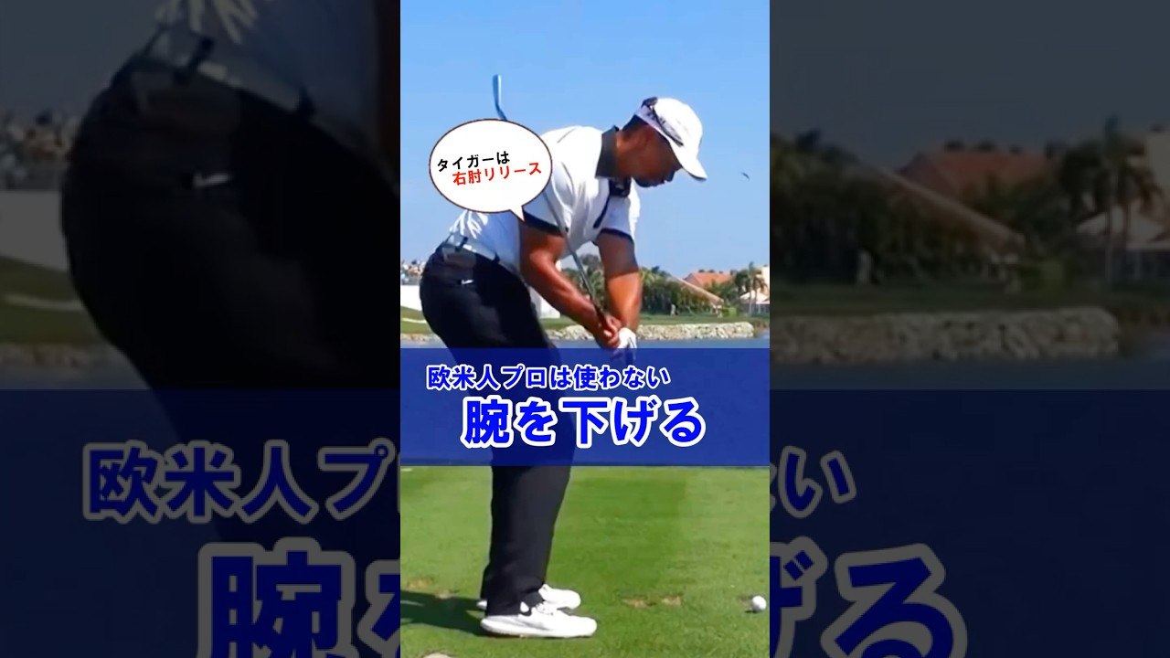 【タイガーウッズも腕は下げない】飛距離を激的に伸ばせる右肘リリース！#WGSL #ベタ足スイング #前倒し