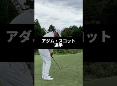 アダム・スコット選手のアイアンショットのスイング