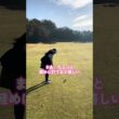 関西でラウンド会規格、、！#ゴルフ #pgaティーチングプロ #golf #ゴルフ女子 #スイングトップ #ゴルフスイング #ドラコンプロ #lpga #golfswing #サエッタゴルフスタジオ