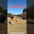 スイング綺麗になりたいぞ〜　#shorts #golf #golfswing #ゴルフ #ゴルフスイング #ゴルフ女子
