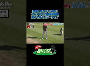 【距離がありライが悪いときは…】武井壮のゴルフバッグ担いでください/#武井壮#プロキャディー #golf #ゴルフ #shorts #切り抜き #プロゴルファー#イボミ