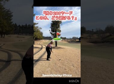 目の前の木を避ける！インテンショナルフック #Shorts #ゴルフ #インテンショナルフック #トラブルショット #ゴルフスイング #シニアゴルフ