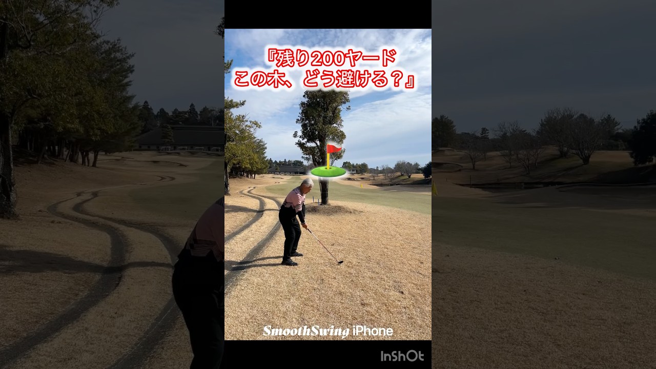 目の前の木を避ける！インテンショナルフック #Shorts #ゴルフ #インテンショナルフック #トラブルショット #ゴルフスイング #シニアゴルフ
