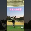 お久しぶり❗️ちさとの練習😤 #ゴルフ #山本道場ゴルフtv #山本道場ちさと #golf #ゴルフ練習動画