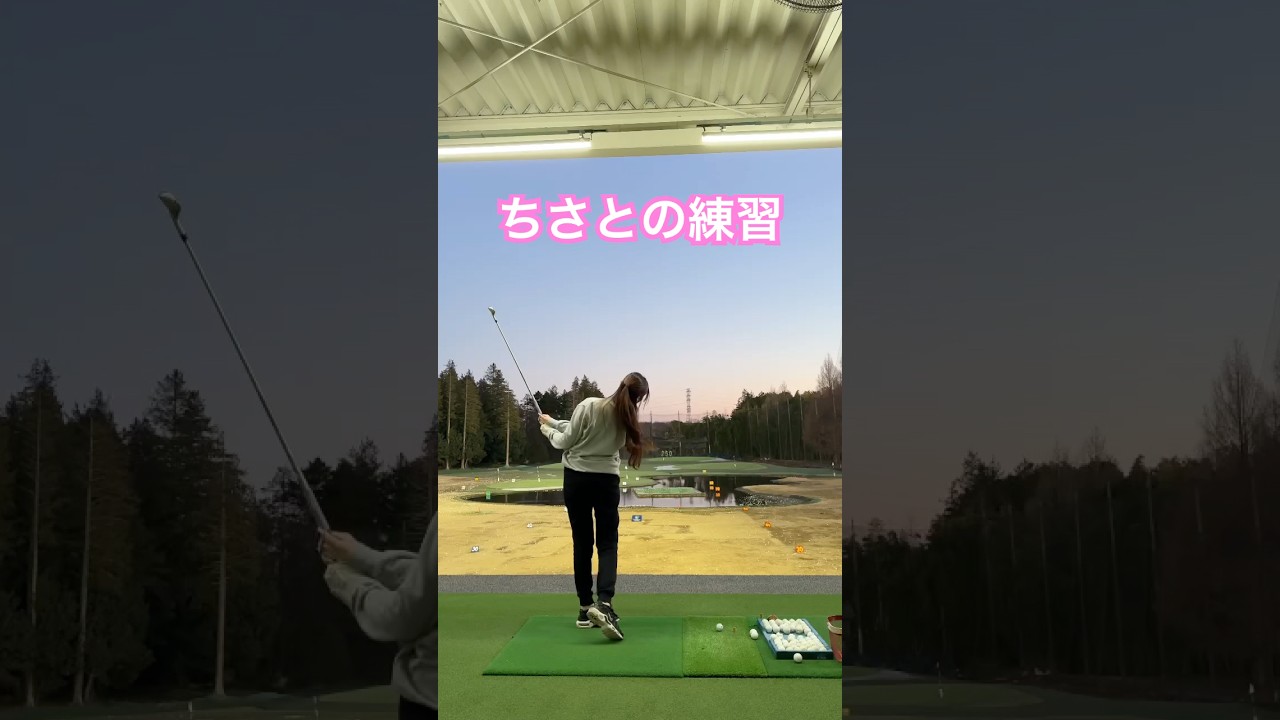 お久しぶり❗️ちさとの練習😤 #ゴルフ #山本道場ゴルフtv #山本道場ちさと #golf #ゴルフ練習動画