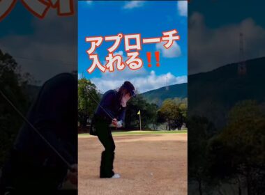 アプローチ大好き(*'▽'*)♪#侍伊織 #ゴルフ