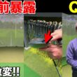 【発売前なのに暴露】TaylorMade最新「Qi4D」をゴルフ侍出演トップアマが試打計測…“あれ”を替えたら別物になった
