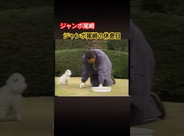 ジャンボ尾崎プロの休息日 #ゴルフ #golf #ジャンボ尾崎