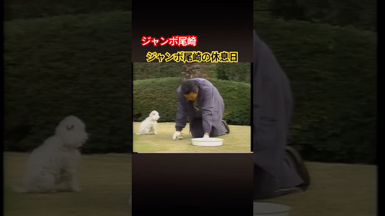 ジャンボ尾崎プロの休息日 #ゴルフ #golf #ジャンボ尾崎