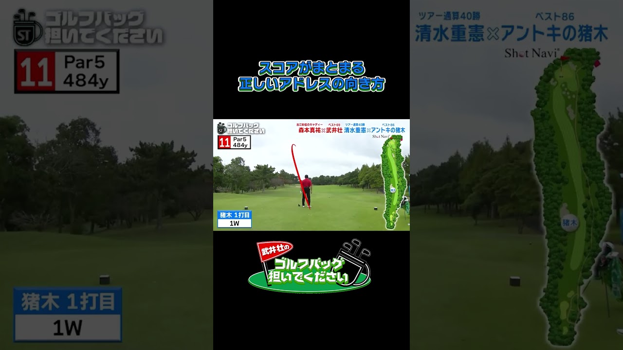 スコアがまとまる 正しいアドレスの向き方／武井壮のゴルフバッグ担いでください/#武井壮#プロキャディー #golf #ゴルフ #shorts #切り抜き #プロゴルファー#アントキの猪木