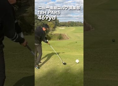 シャフトで打つとこうなります。。 #gengen #ゴルフ #golf #パリティー