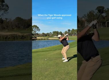 Tiger Woods approved this golf swing #golf #golfswing #tigerwoods