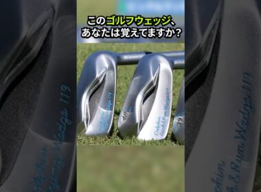 アプローチが簡単になる魔法のウェッジ｜ドルフィンDPW-119