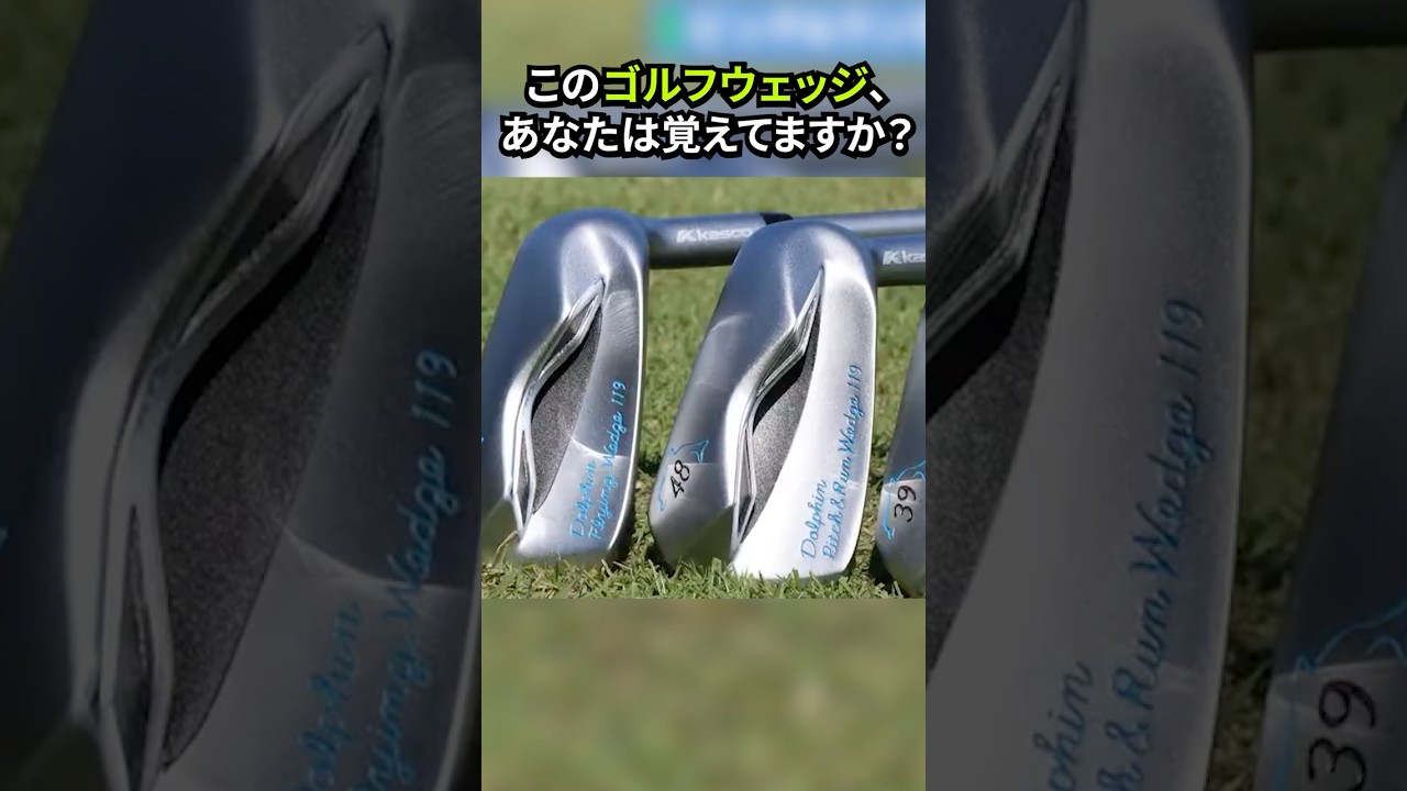 アプローチが簡単になる魔法のウェッジ｜ドルフィンDPW-119