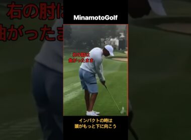 タイガー・ウッズ TigerWoodsアイアンゴルフスイング構え 繰り返して見なさい❣️ #미나모토골프스튜디오 #kpga李源宰プロゴルファー Golfswing #golflessons