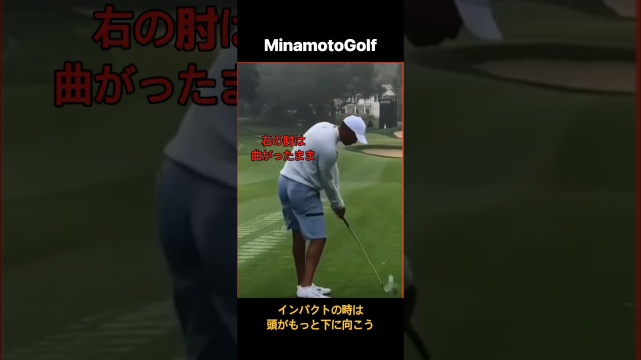 タイガー・ウッズ TigerWoodsアイアンゴルフスイング構え 繰り返して見なさい❣️ #미나모토골프스튜디오 #kpga李源宰プロゴルファー Golfswing #golflessons