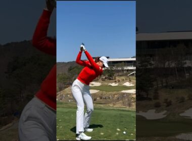 This Beautiful Iron Flight is Pure Art!