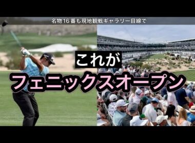 2026.2.5  米フェニックスオープン初日のぼっちゴルフ日帰り観戦記