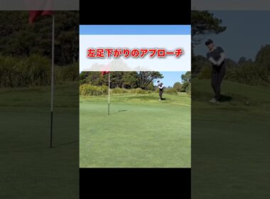 左足下がりのアプローチ #shorts #ゴルフ #ゴルフレッスン #ゴルフスイング #ゴルフ初心者 #ゴルフ練習 #ゴルフ動画 #golf #golfswing