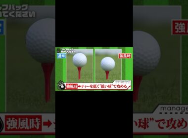 【強風に負けない！ ティーアップ術】武井壮のゴルフバッグ担いでください/#武井壮#プロキャディー #golf #ゴルフ #shorts #切り抜き #プロゴルファー#アントキの猪木