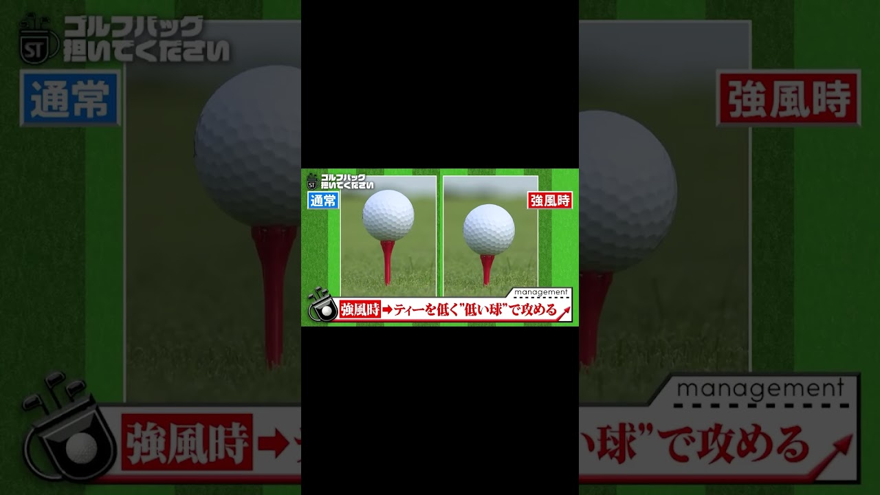 【強風に負けない！ ティーアップ術】武井壮のゴルフバッグ担いでください/#武井壮#プロキャディー #golf #ゴルフ #shorts #切り抜き #プロゴルファー#アントキの猪木