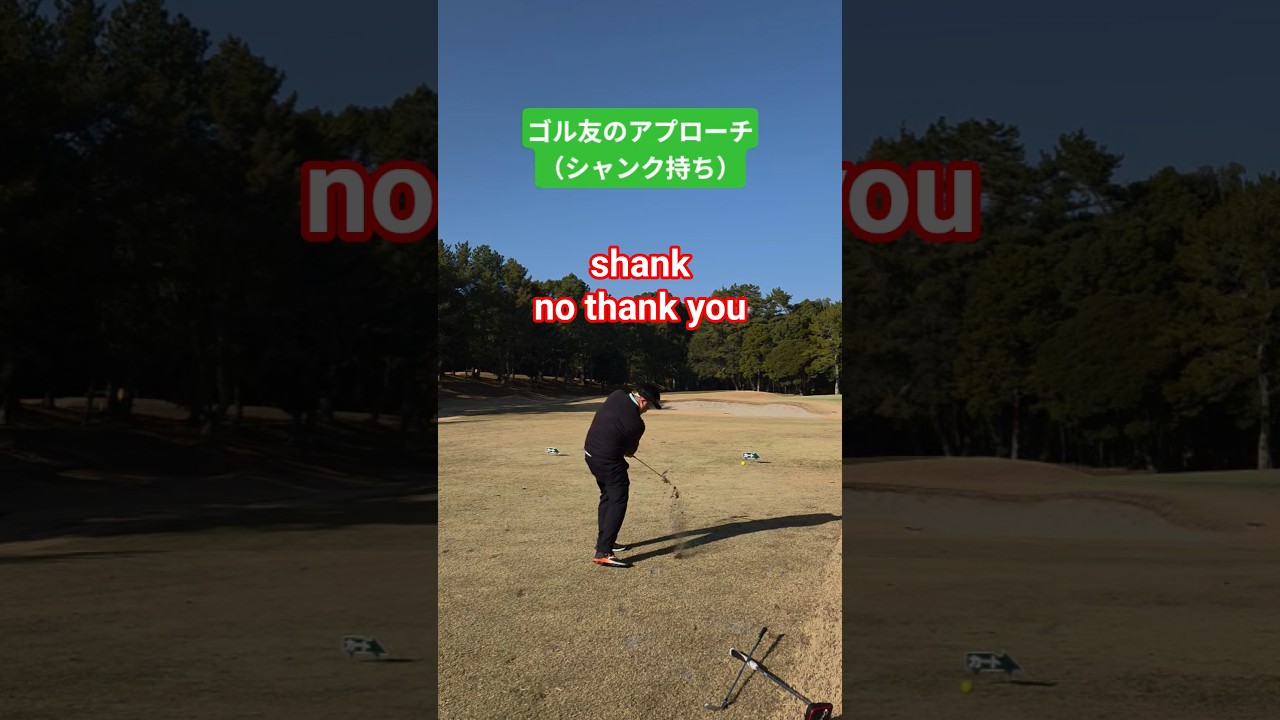 【ゴルフ】ゴル友のアプローチシャンク⛳️どうしたら治るだろう🤔 #ゴルフ #golf #golfswing #ゴルフコース #ゴルフスイング #shorts #ゴルフラウンド #シャンク #shank