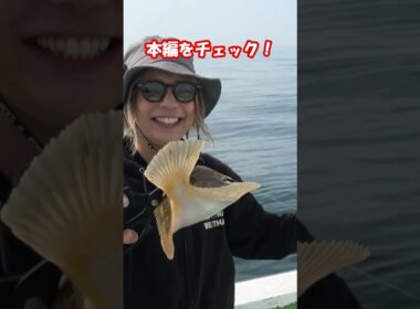 みぽりん＆みくみく‼宮城県亘理大型漁礁でカレイ釣りに挑戦！#マコガレイ #サニー商事 #釣りガール