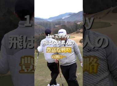 豊富な戦略の割に...