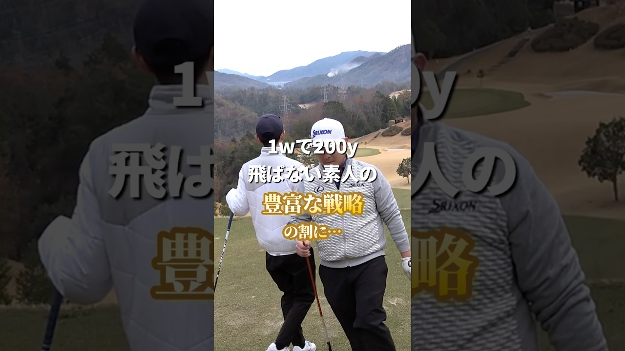 豊富な戦略の割に...