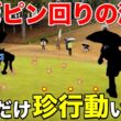 男子プロ5人、女子プロ5人のチーム戦を行った結果、ピン周りにしかボールが飛ばなくなりましたwww【#4 ペアチャンピオンシップ】