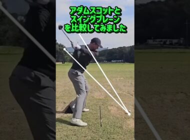 アダムスコットとスイングプレーンを比較してみたら、他の悪い部分が見える（特に切り返し）#golfshorts #golfswing #golf #ゴルフ #ゴルフスイング