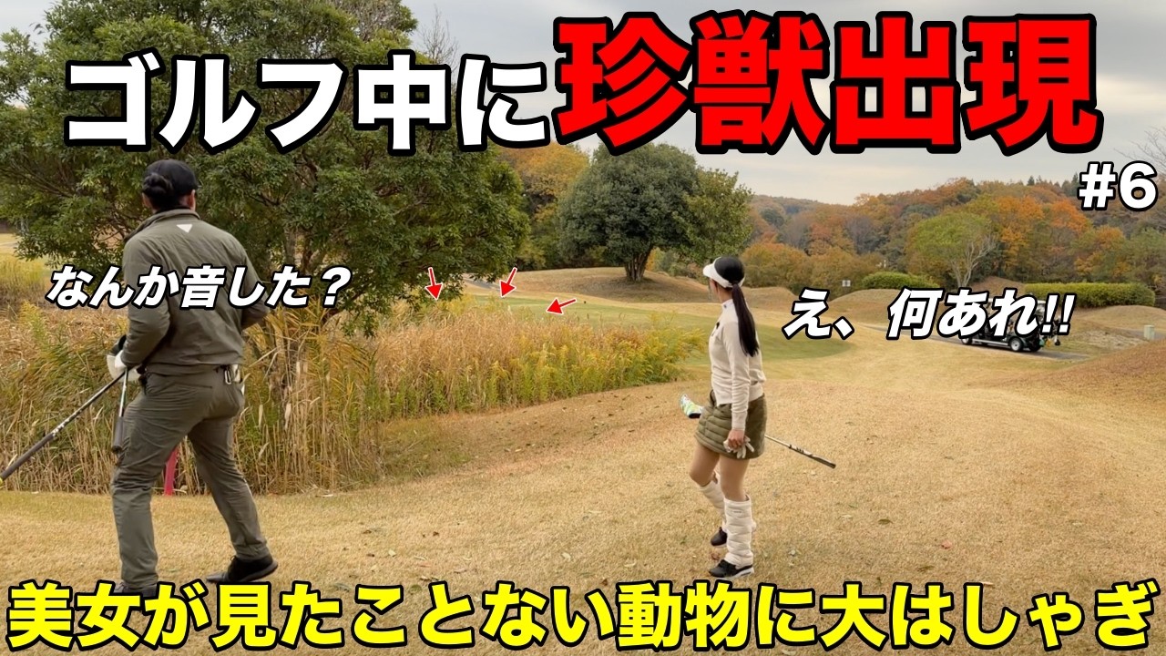 え！あれなんですか！人生で見たことない動物の大群に遭遇しました。