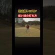 林由郎レッスン　低い球の打ち方 #ゴルフ #golf #林由郎