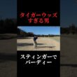 本物のタイガーウッズかと思った…。スティンガーでバーディー。やすゴルメンバーと会えるイベントも開催！#ゴルフ女子 #ゴルフスイング #ゴルフレッスン#ゴルフ女子#ドライバーショット