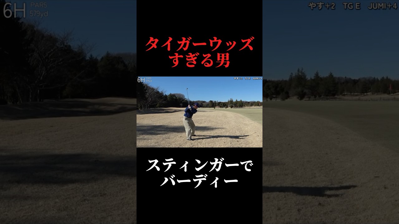 本物のタイガーウッズかと思った…。スティンガーでバーディー。やすゴルメンバーと会えるイベントも開催！#ゴルフ女子 #ゴルフスイング #ゴルフレッスン#ゴルフ女子#ドライバーショット