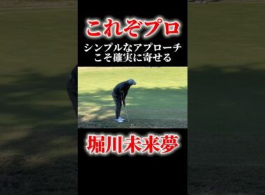これぞプロの技｜堀川未来夢