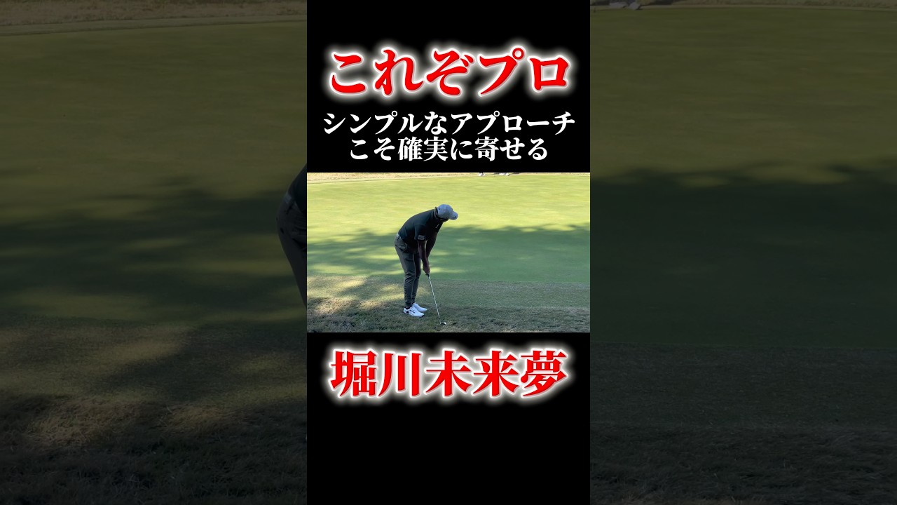 これぞプロの技｜堀川未来夢