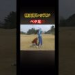 林由郎プロレッスン✨ベタ足が基本❗️ #ゴルフ #golf #林由郎