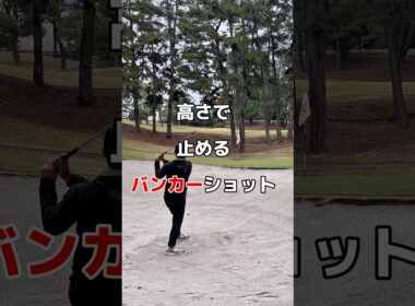 ピタッと止まるバンカーショット✨#バンカーショット #ゴルフ #ゴルフレッスン