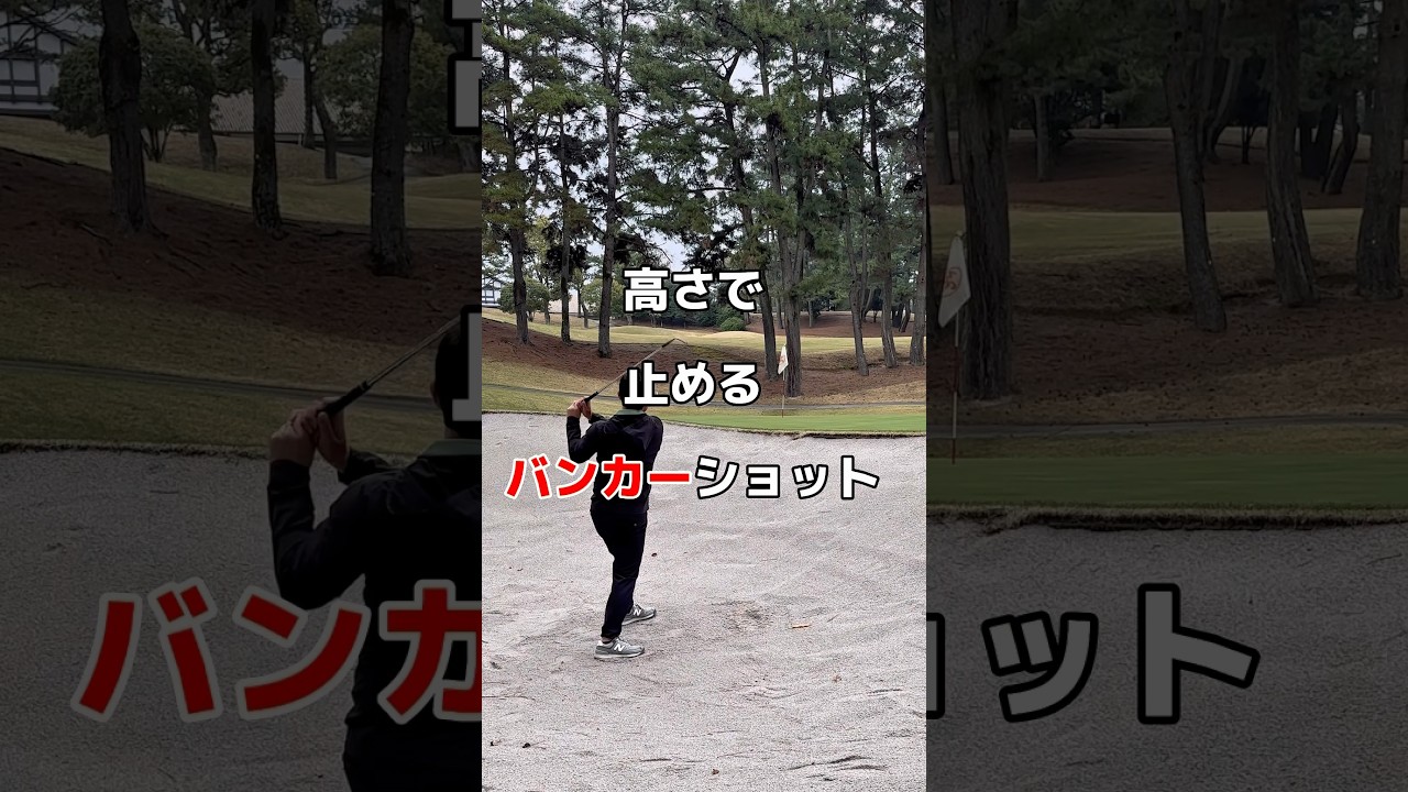 ピタッと止まるバンカーショット✨#バンカーショット #ゴルフ #ゴルフレッスン