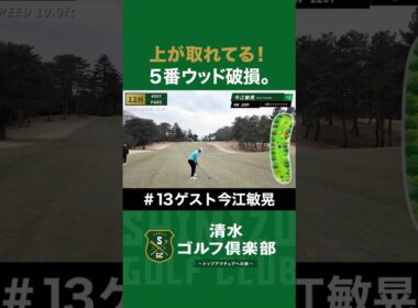 【ゴルフ×今江敏晃】上が取れてる！今江敏晃の5番ウッドが破損。#今江敏晃 #清水直行 #ゴルフ #清水ゴルフ倶楽部 #野球